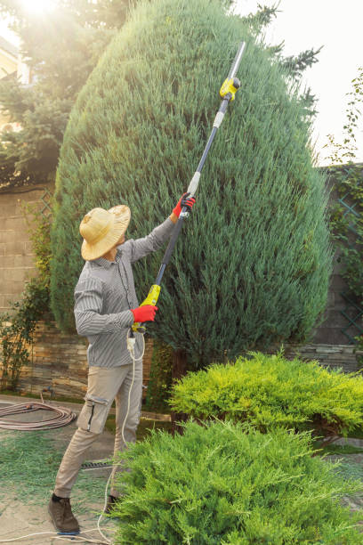 Best Lawn Pest Prevention  in Clinton, LA